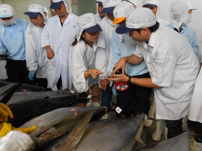 Vietnam province, Japanese firm in talks on tuna canning plant