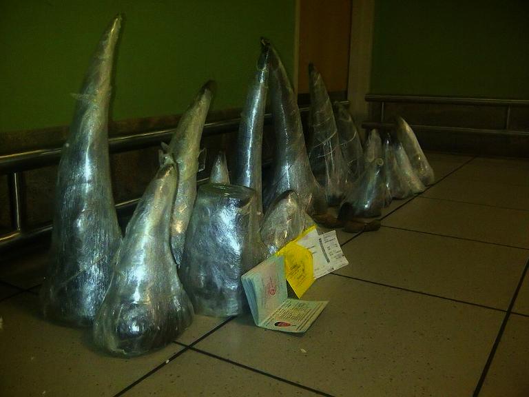 South Africa seizes two Vietnamese with record 41kg of rhino horns