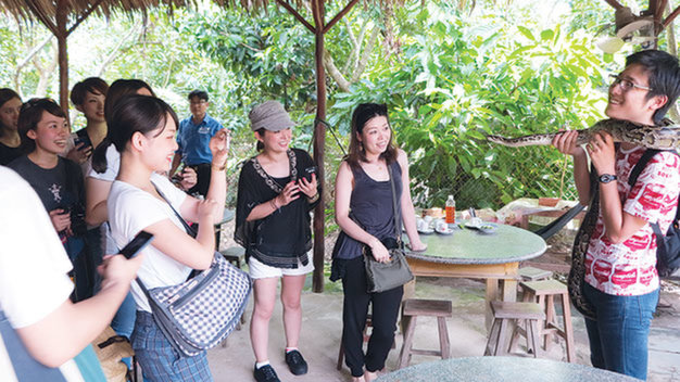Only 6% of int’l tourists return to Vietnam: survey