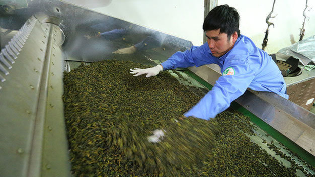 Vietnam province quashes Taiwanese rumor of dioxin-tainted tea