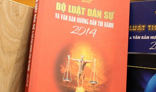Vietnam law book cover features topless comedian on fire