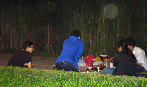 Grass grows along the two sides of the picnic land on Mai Chi Tho Boulevard in District 2, Ho Chi Minh City.