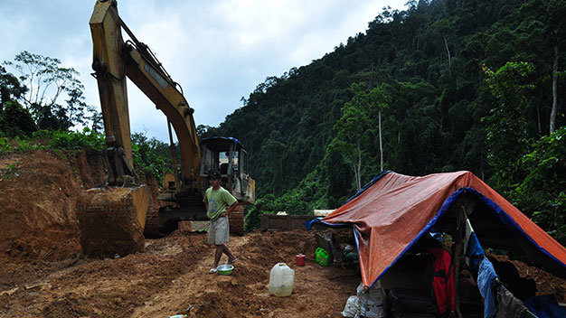 In Vietnam, upstream forests chopped down as authorities deliberately deny responsibility