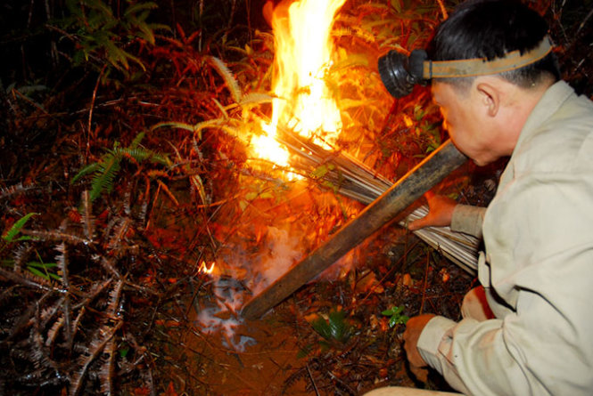 Vietnam men fix raincoats, hunt for killer and forest bees