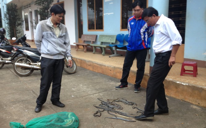 Over 100 live snakes purportedly set free on Vietnam highway