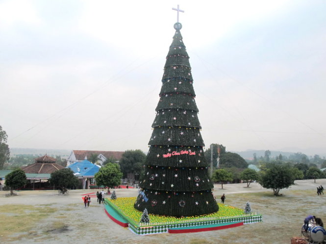 Vietnam’s record artificial pine trees lit up for Christmas