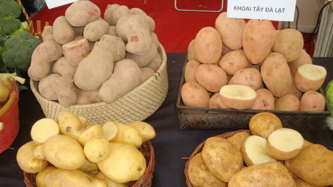 Vietnam cooperative displays Da Lat, Chinese produce in pairs to reveal clear difference