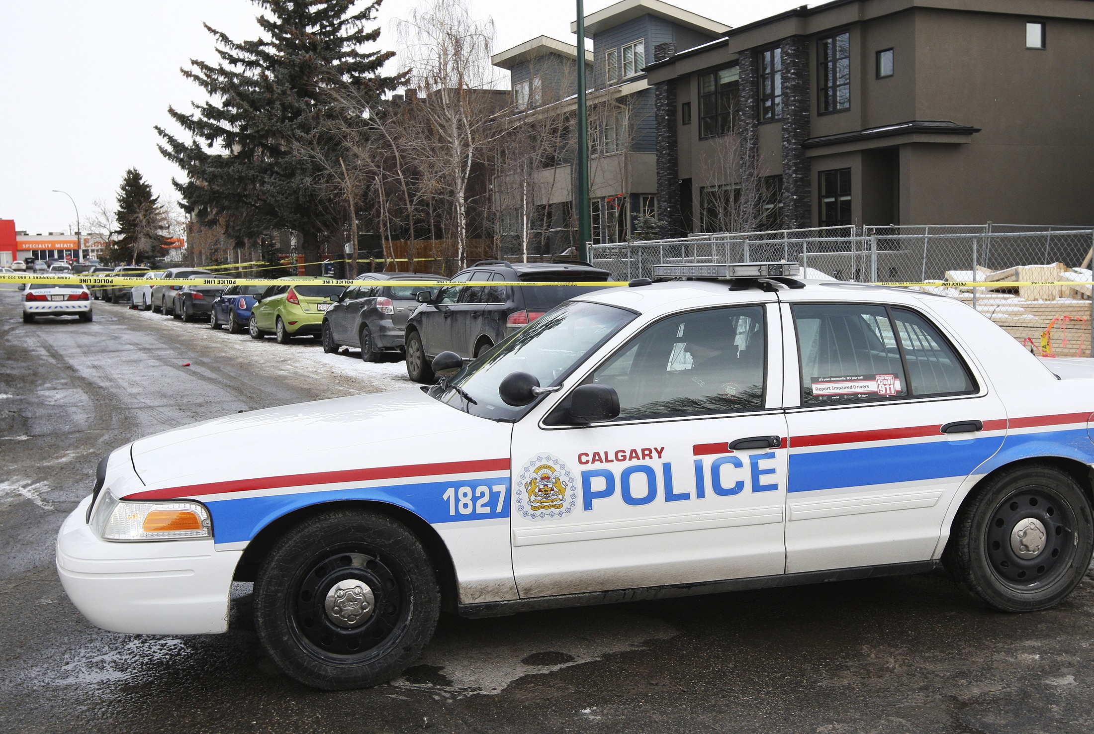 Canadian mass killer spared two babies: Edmonton Police