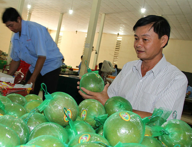 Vietnam farmer puts green-skinned pomelos on the map