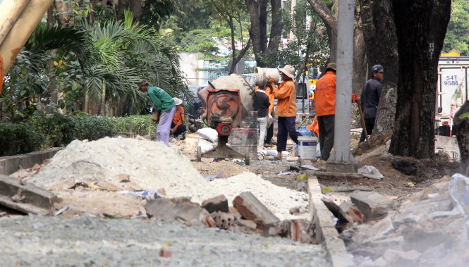 Ho Chi Minh City to lop 116 trees to upgrade sidewalks near airport