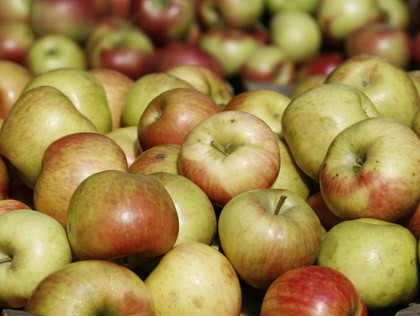 No listeria-tainted apples imported into Vietnam: watchdog