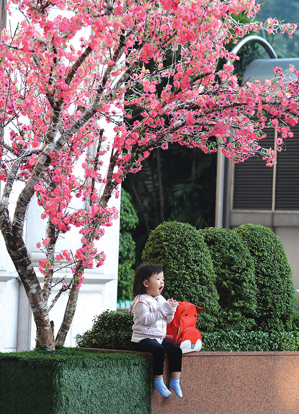 A little girl yawns while her mother takes a photo of her under a peach blossom tree, a Tet decoration, in downtown Ho Chi Minh City. 
