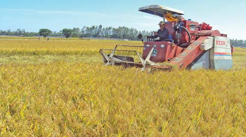 Vietnam provides WEF with experience in agricultural development, food security