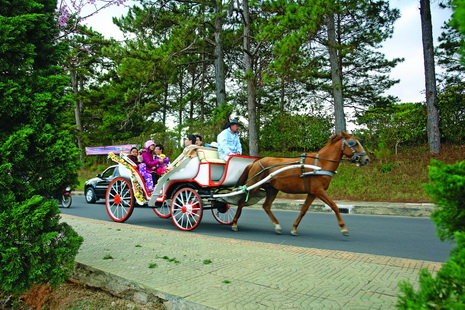A file photo shows a horse-drawn carriage carrying tourists in Da Lat City.