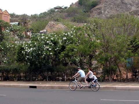 Young Vietnamese, tourists take up riding tandem bikes