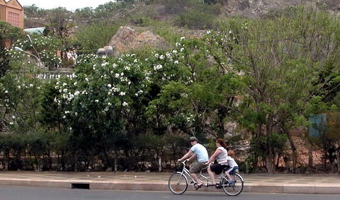 Young Vietnamese, tourists take up riding tandem bikes