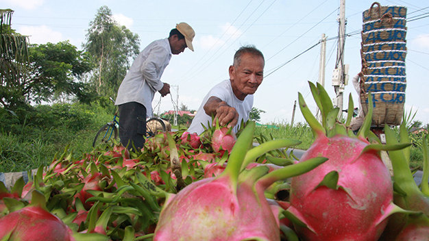 Ministry consults overseas Vietnamese about promoting agro-produce in global market