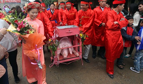 Vietnam suggests changing name, limiting public view of pig slaughter fest
