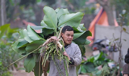 ‘Dong’ leaf village in northern Vietnam