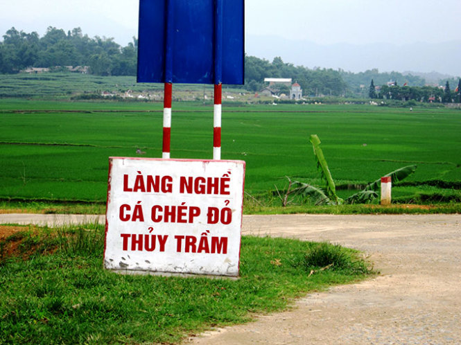 A signboard at the entrance to Thuy Tram Red Carp Craft Village, located in the northern province of Phu Tho.
