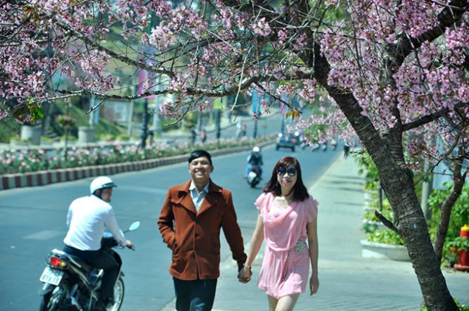 A couple are seen walking hand in hand under a flowering 