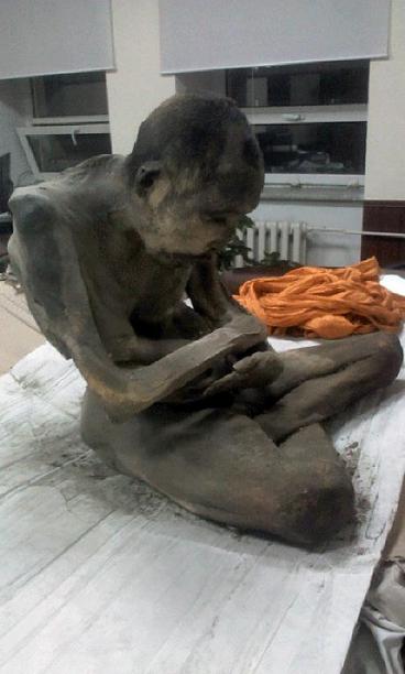 Mongolia mummy find highlights Buddhist 'living gods' tradition