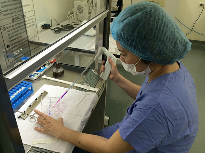 Vietnamese female scientists succeed in low-cost groundbreaking eye research
