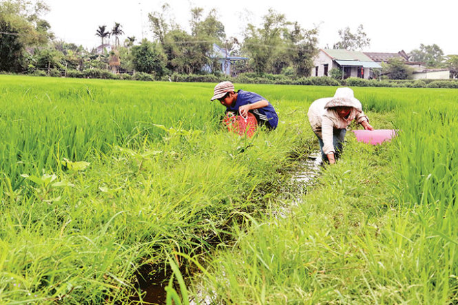 Celebrating International Women’s Day a luxury for these women