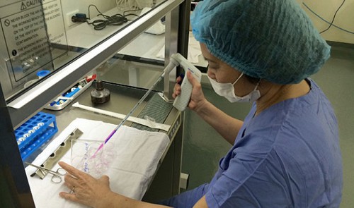 Vietnamese female scientists succeed in low-cost groundbreaking eye research