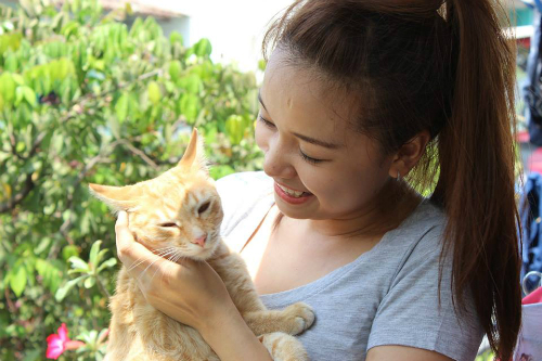 Ho Chi Minh City girl provides unconditional love, care for stray cats