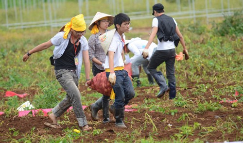Farming tours add to appeal of Vietnam’s Da Lat ‘flower city’