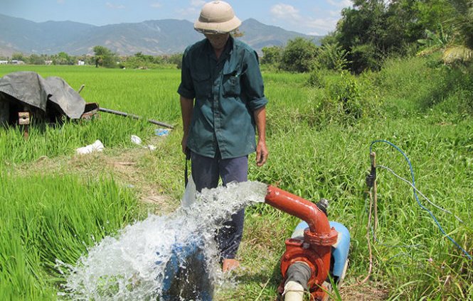 Rivers in central Vietnam province lose 80% of water volume to drought