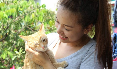 Ho Chi Minh City girl provides unconditional love, care for stray cats