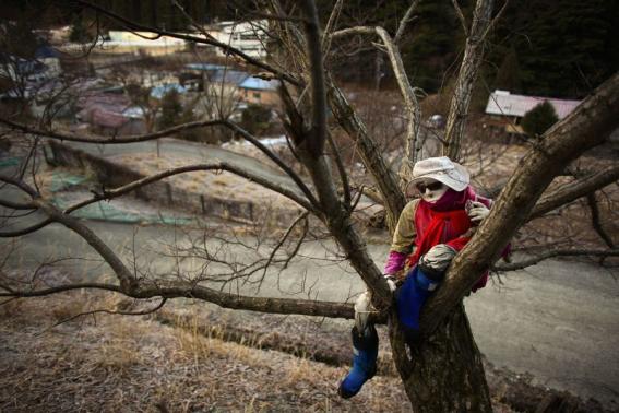 A scarecrow sits on a tree in the mountain village of Nagoro on Shikoku Island in southern Japan February 24, 2015.