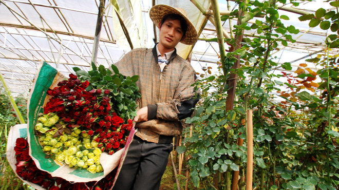 Vietnam’s veggie hub to have Japanese-style flower wholesale market