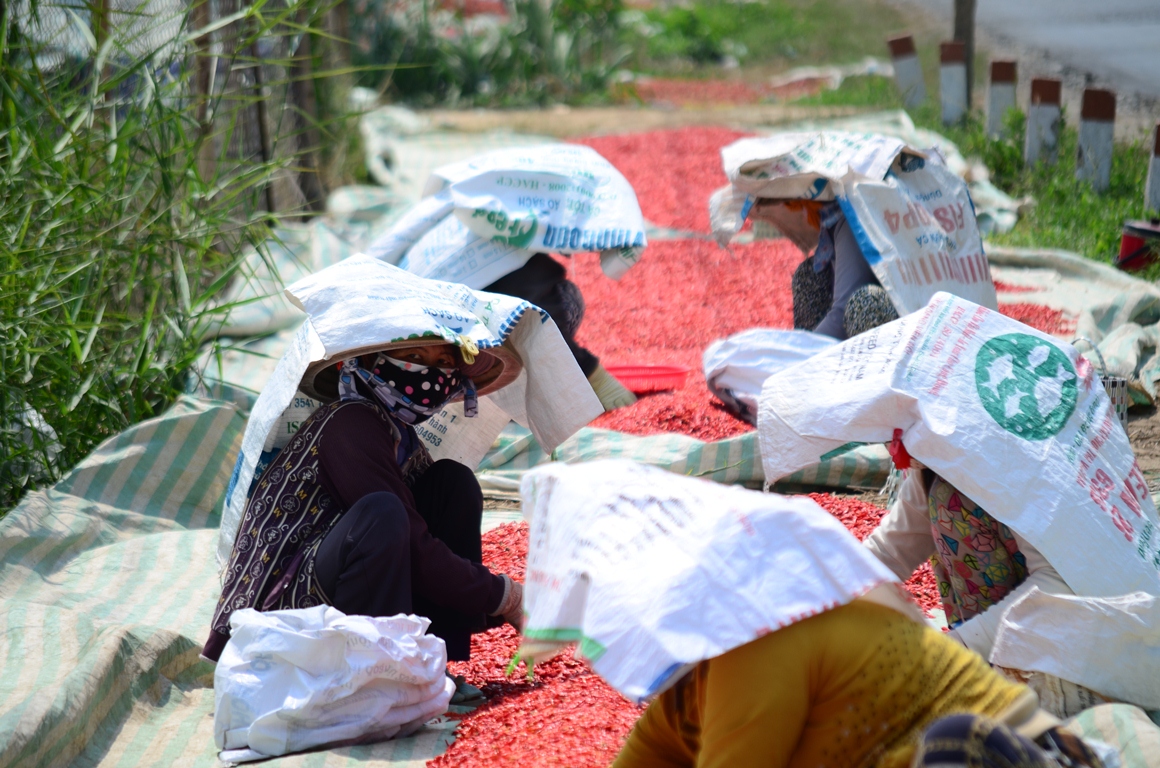 Workers have to cover their heads with fertilizer bags to shelter from the sizzling heat.