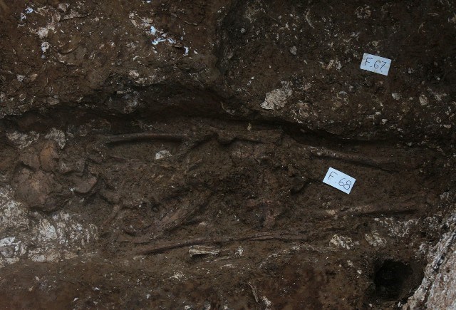 Archeologists unearth five-millennium-old skeletons believed to be remains of ancient Vietnamese