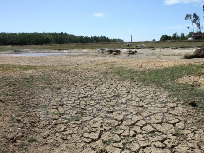 Drought leaves tens of thousands of hectares of farming land fallow in Vietnam