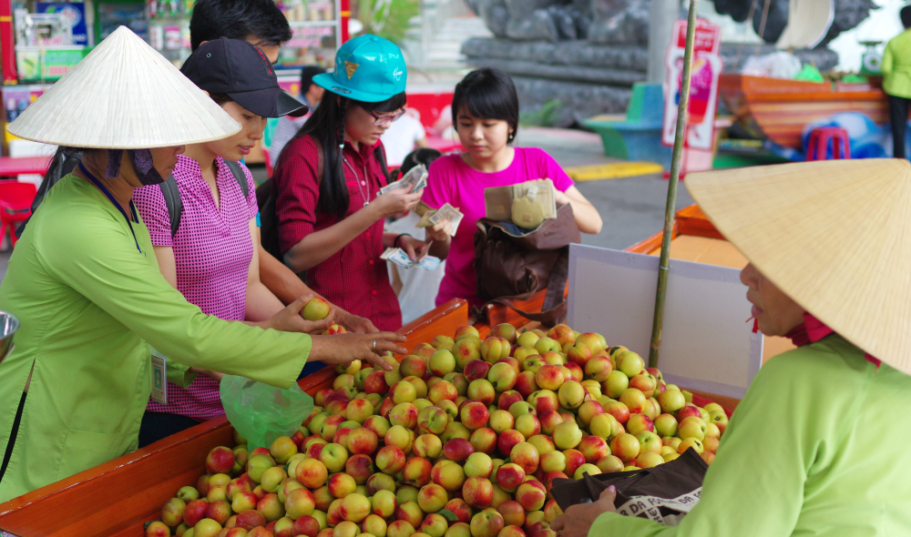 Ho Chi Minh City hopes to pull in more tourists with fruit festival