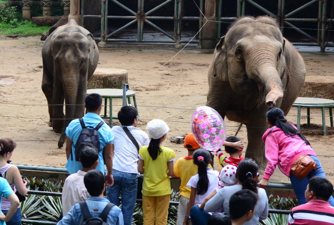 Ho Chi Minh City zoo official dismisses relocation rumors