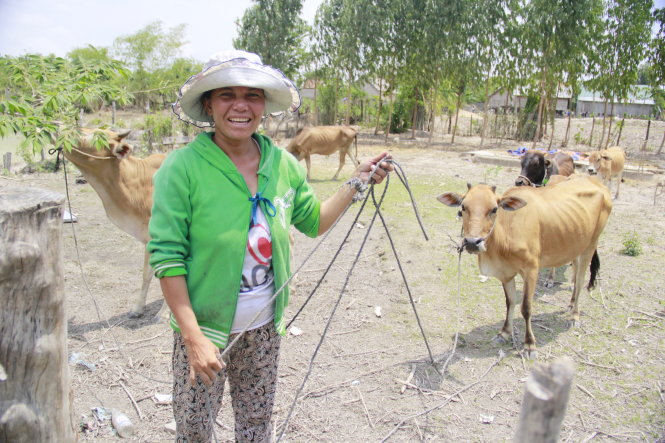 Paying in cows to get a husband in Vietnam’s Central Highlands region