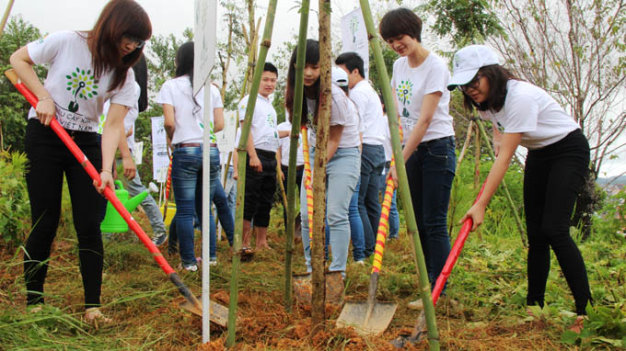 Everyone joins hands to add green to Vietnam