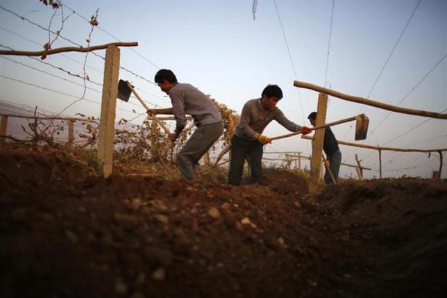 Quake in rural China kills six, damages thousands of homes