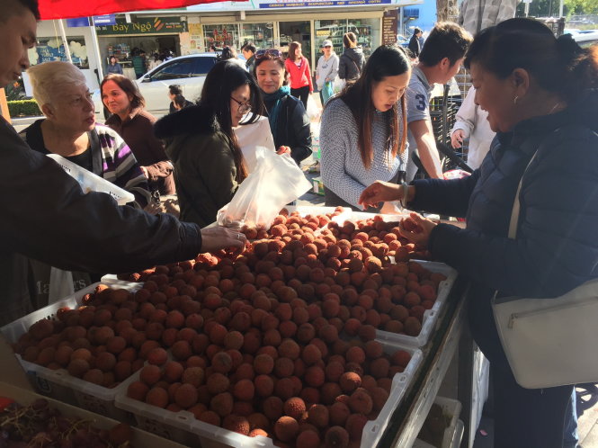 Vietnamese lychees sell well in Australia despite uncompetitive price