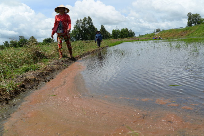 Salt water increasingly attacks Vietnam’s Mekong Delta
