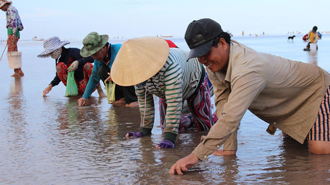 Vietnamese authorities indirectly create dispute over oyster catching on coasts