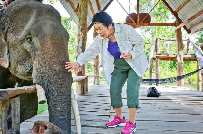 Japanese septuagenarian photographs, conserves elephants in central Vietnam for 13 years