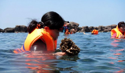 Pollution killing off coral under Phu Quoc sea in Vietnam