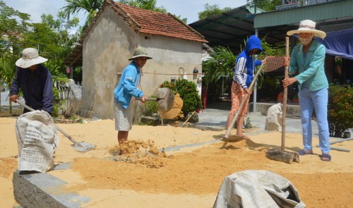 Volunteer masons build houses for free in central Vietnam