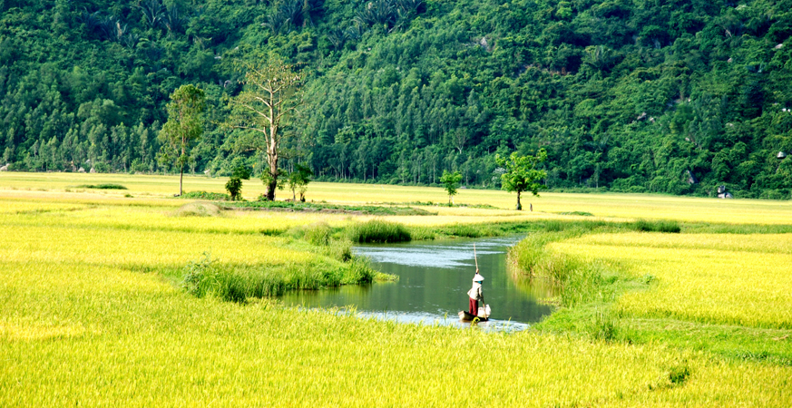Picturesque scenery in south-central Vietnam featured in local blockbuster (photos)